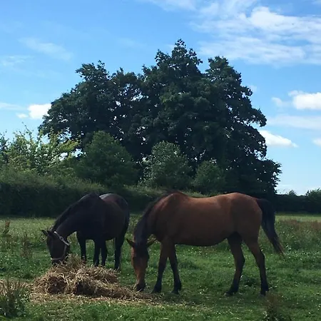 Hébergement de vacances Le Clos Mesnil *