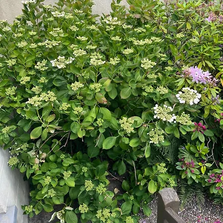 Hébergement de vacances Le Clos Mesnil Le Mesnil-Réaume