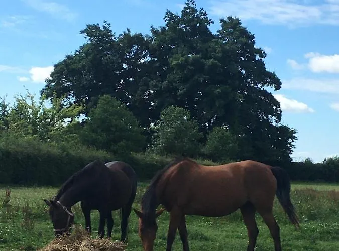 Hébergement de vacances Le Clos Mesnil *